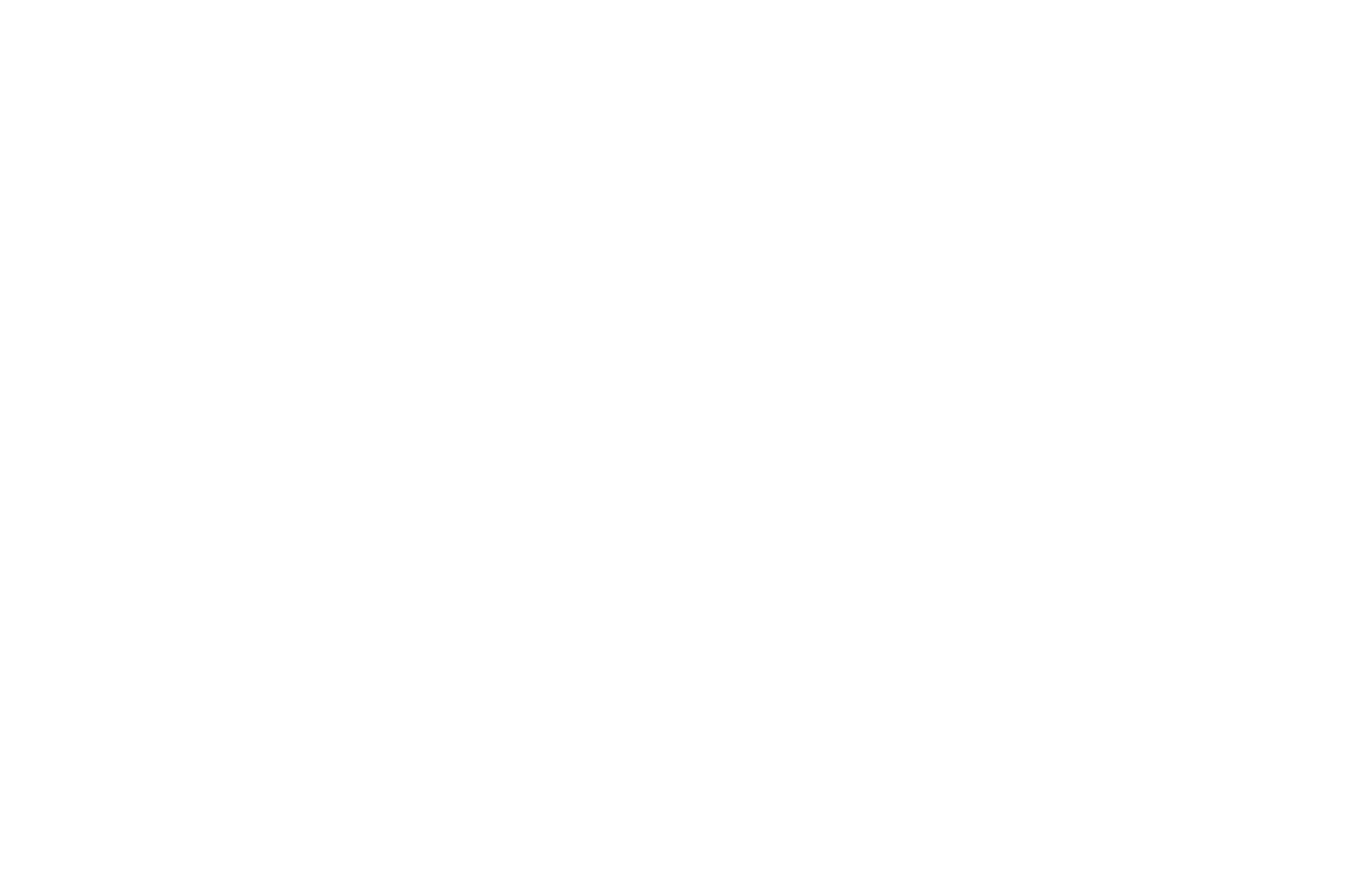 Feature Script 2025
