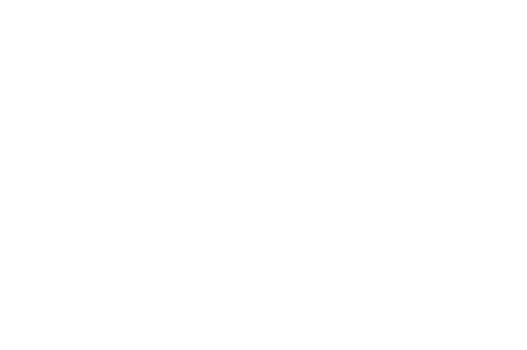 Silver Award, International Celebration of Cinema, Best Screenplay 2025