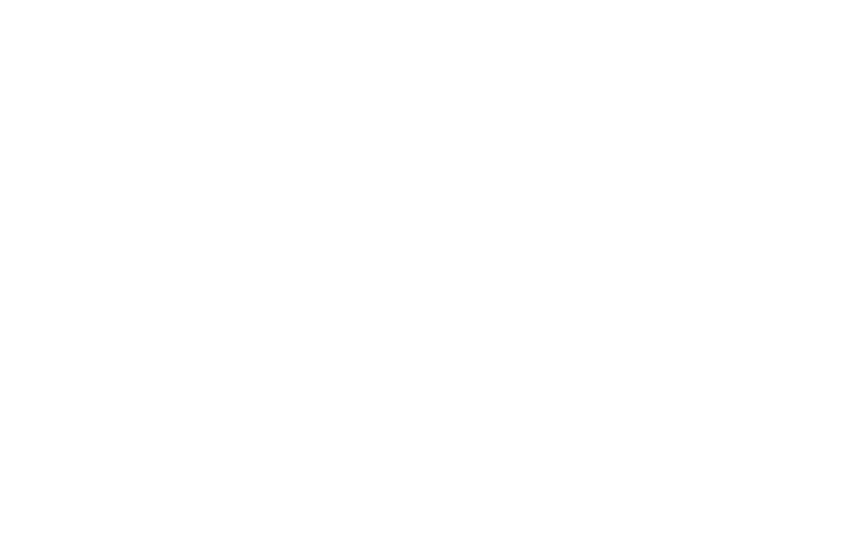 Finalist, New York True Venture Film Festival, Best Feature Screenplay 2025