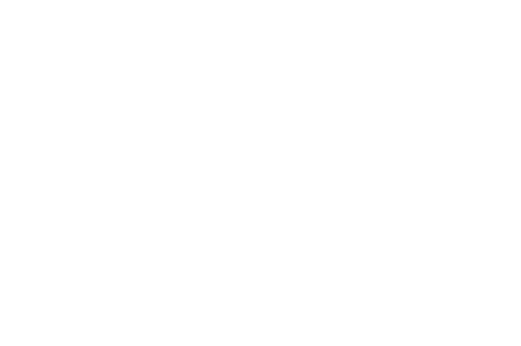 Honorable Mention, Feature Screenplay 2025