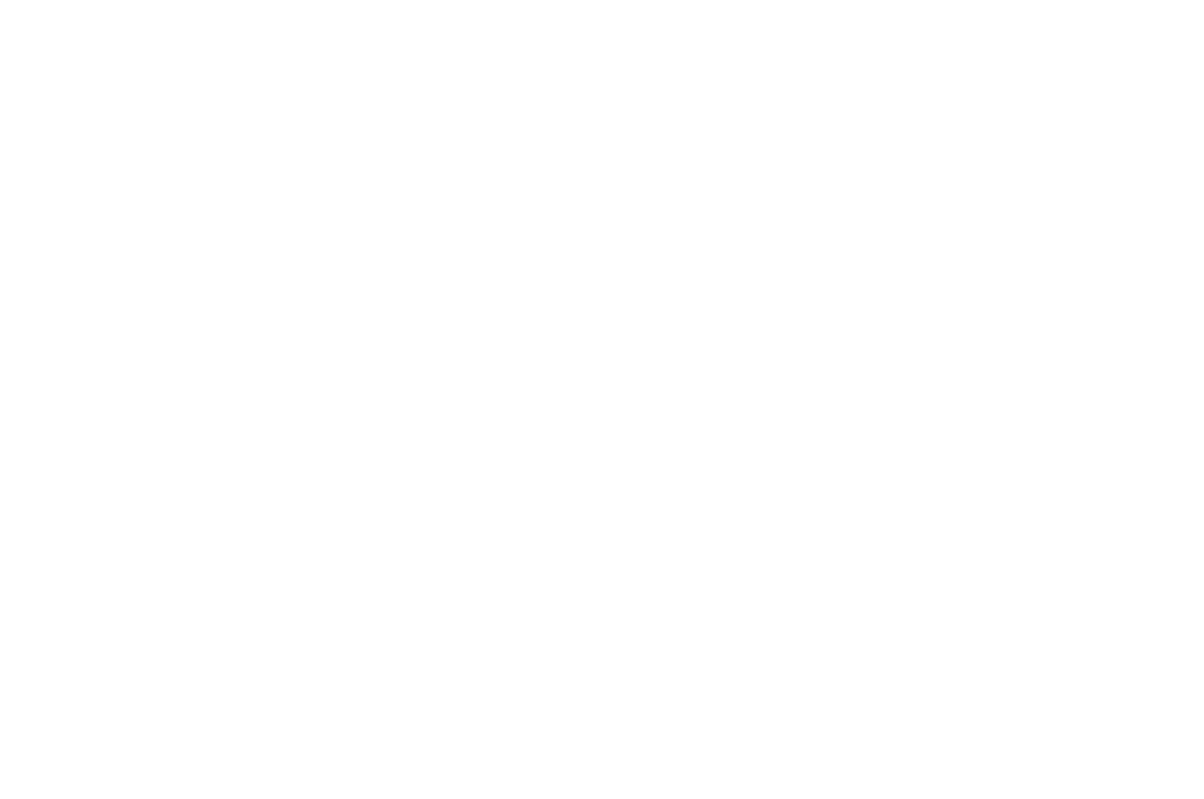 Official Selection, Synergy Film Festival, Feature Screenplay 2025